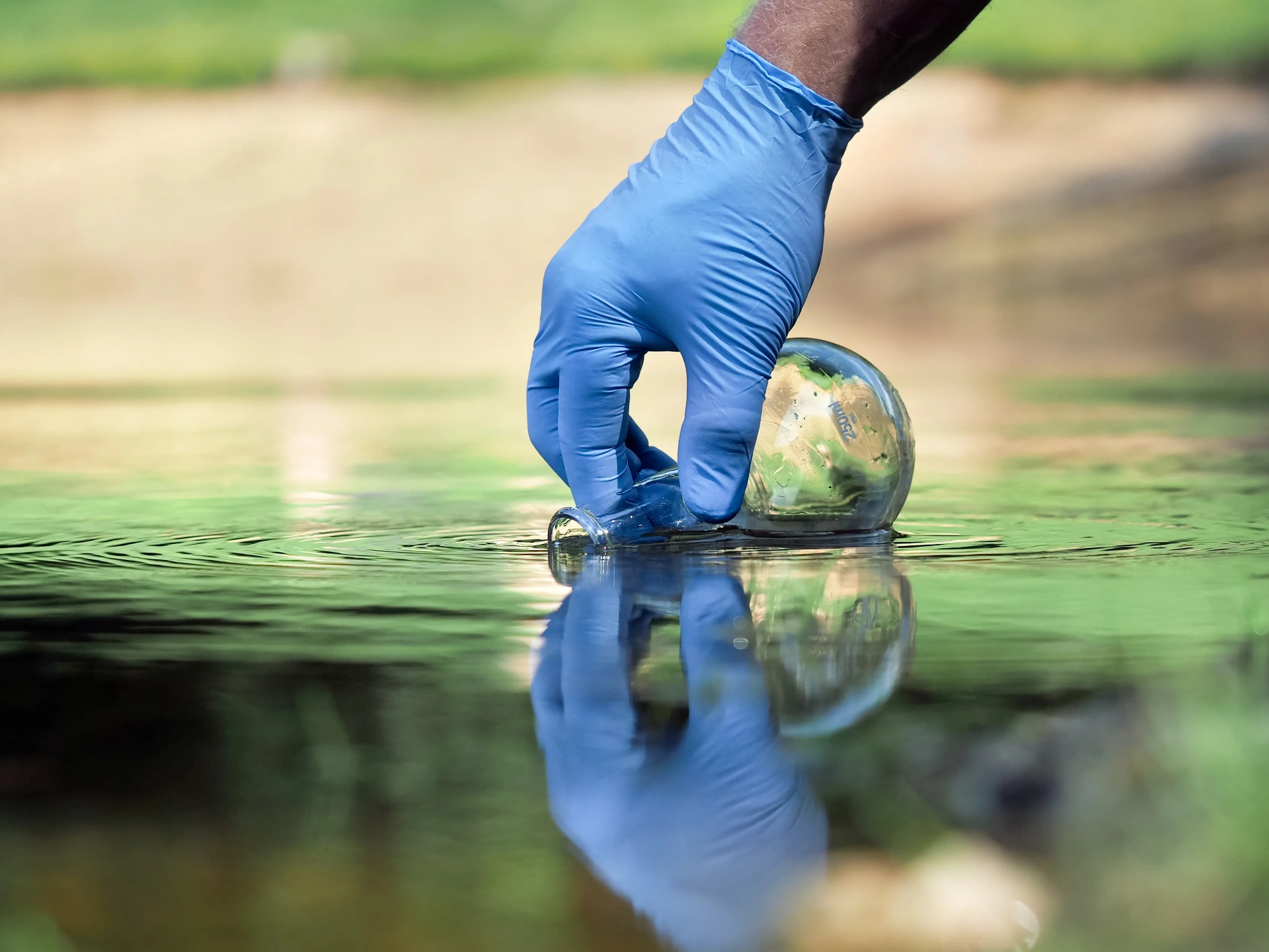 Environnement